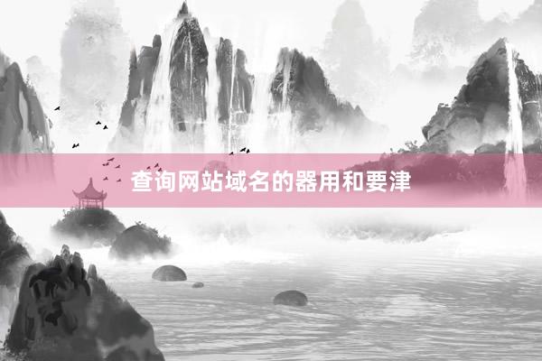 查询网站域名的器用和要津