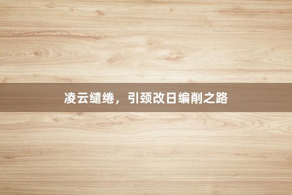 凌云缱绻，引颈改日编削之路