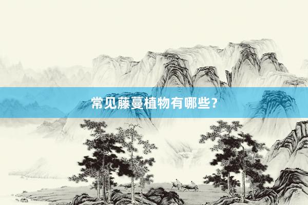 常见藤蔓植物有哪些？