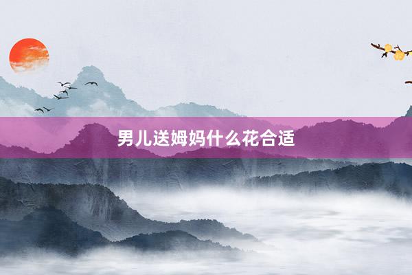 男儿送姆妈什么花合适