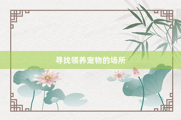 寻找领养宠物的场所