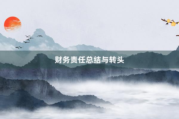 财务责任总结与转头